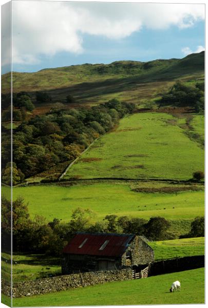 View North of Ambleside, Cumbria Canvas Print by Neil Overy