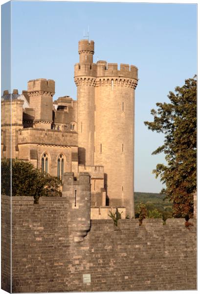 Arundel Castle Canvas Print by Neil Overy