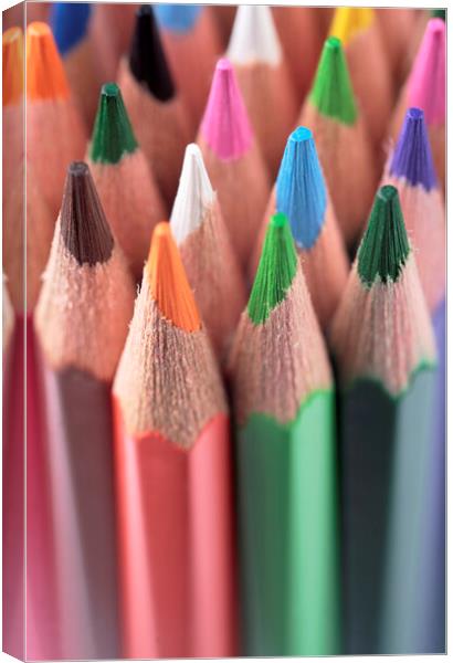 Coloured Pencils 1 Canvas Print by Neil Overy