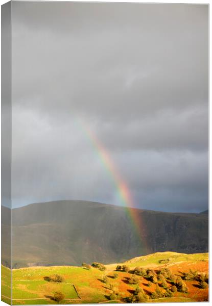 Rainbow over the Lake District Hills near Castlerigg Canvas Print by Neil Overy