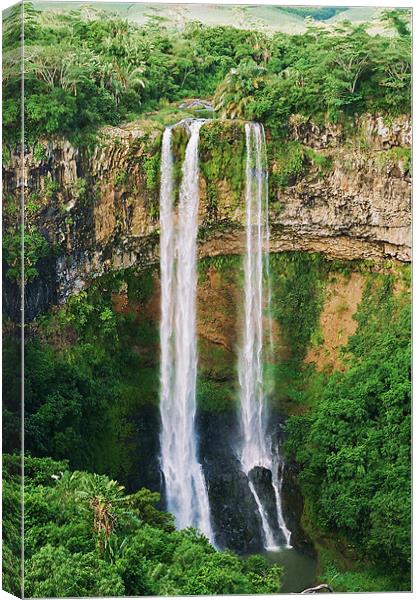 Chamarel Falls, Mauritius Canvas Print by David Gardener