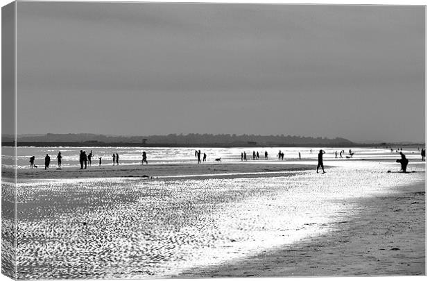 Camber Beach, East Sussex Canvas Print by David Gardener