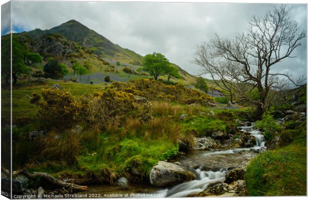 Bluebells and Squat Beck below Whiteless pike at Rannerdale  Canvas Print by Michaela Strickland