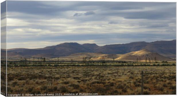 Agave plantation near Nieu Bethesda Canvas Print by Adrian Turnbull-Kemp