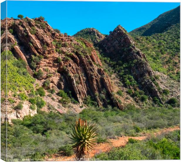 Waaipoort geology Canvas Print by Adrian Turnbull-Kemp