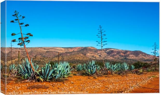 The Baviaans mountains Canvas Print by Adrian Turnbull-Kemp