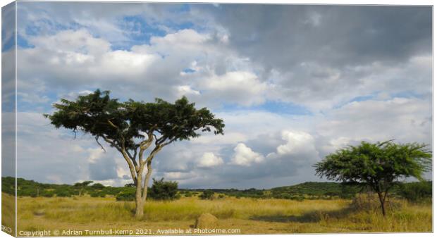 Looming storm clouds, Spioenkop Nature Reserve, Kwazulu Natal Canvas Print by Adrian Turnbull-Kemp