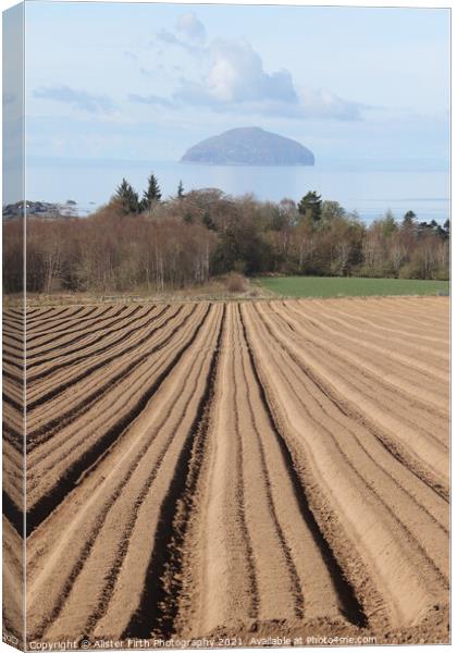 Ploughed furrows to Ailsa Craig Canvas Print by Alister Firth Photography