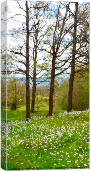 Springtime view Canvas Print by Deborah Welfare