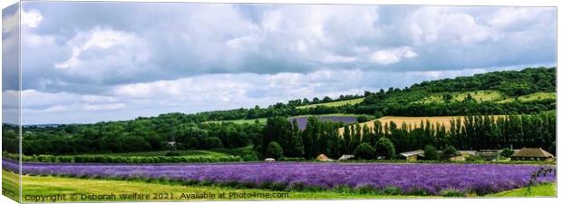 Lavender Fields , Castle Farm, Kent Canvas Print by Deborah Welfare