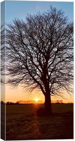Silhouetted tree at sunset Chart Sutton Kent Canvas Print by Deborah Welfare
