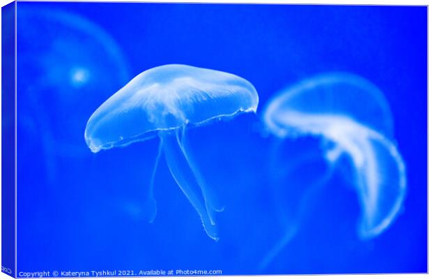 White jellyfish in blue water Canvas Print by Kateryna Tyshkul