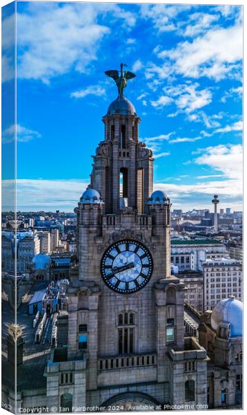Liverbirds Canvas Print by Ian Fairbrother