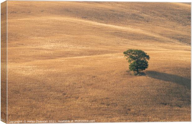 The hills of Val d'Orcia, Tuscany Canvas Print by Mirko Chessari