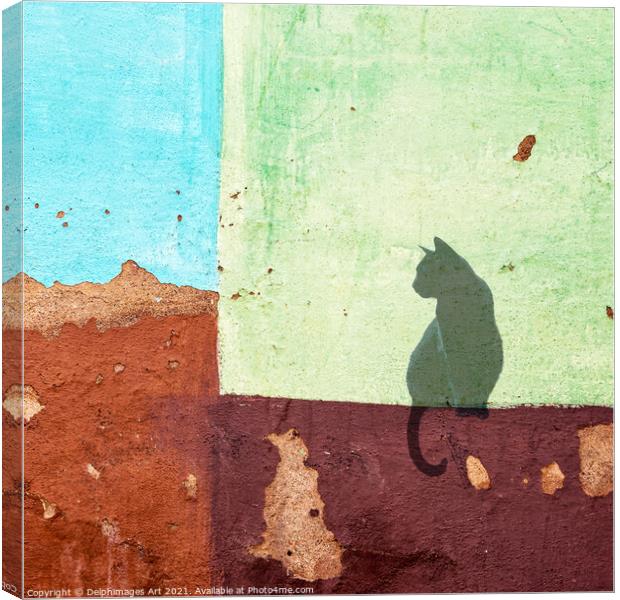 Black cat sitting on a colourful wall in Cuba Canvas Print by Delphimages Art