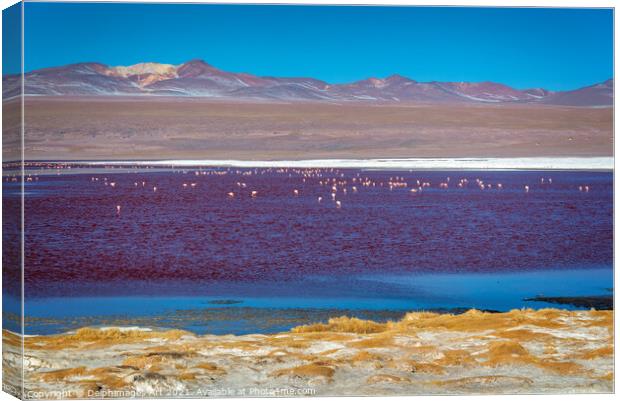 Flamingos on Laguna Colorada, Bolivia Canvas Print by Delphimages Art