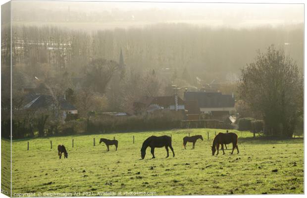 Horses grazing  in a field in winter in Normandy Canvas Print by Delphimages Art