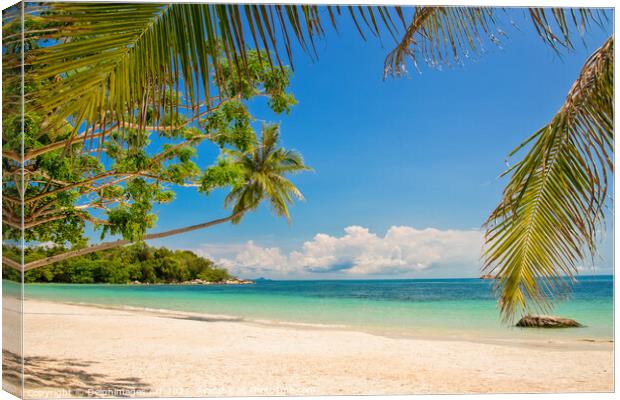 Tropical paradise beach landscape with palm trees Canvas Print by Delphimages Art