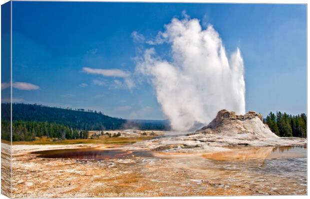 Castle Geyser in Yellowstone National Park, USA Canvas Print by Delphimages Art