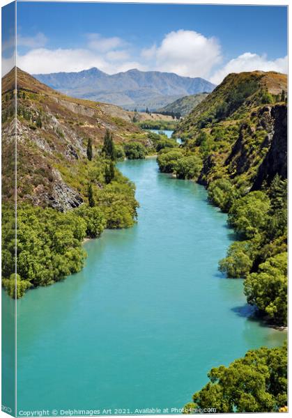New Zealand landscape. Kawarau river Canvas Print by Delphimages Art