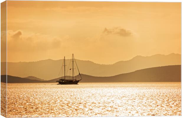 Sailing boat in gold at sunset Canvas Print by Delphimages Art