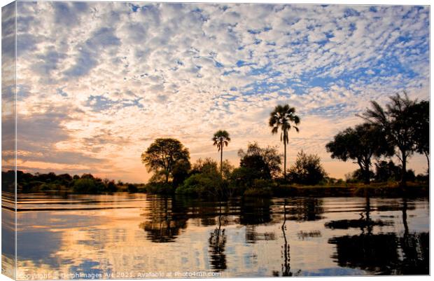 Palm trees on the Zambezi river at sunset, Zambia Canvas Print by Delphimages Art