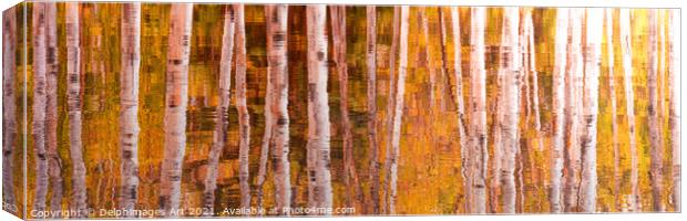 Autumn. Aspen trees reflections, nature abstract Canvas Print by Delphimages Art