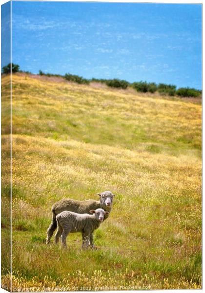 New Zealand, sheep and lamb Canvas Print by Delphimages Art