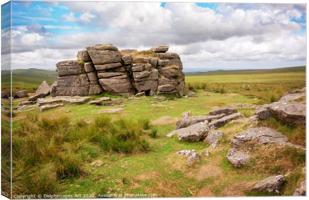 Dartmoor. South Hessary Tor near Princeton Canvas Print by Delphimages Art