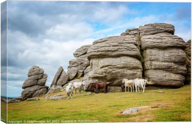 Dartmoor Ponies near Saddle Tor Canvas Print by Delphimages Art