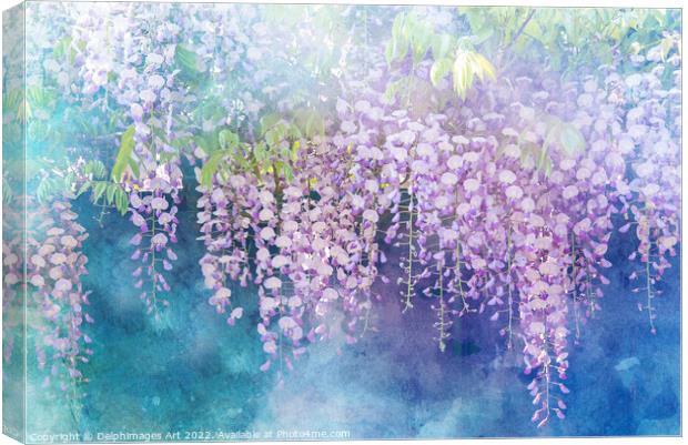 Wisterias blossom in spring Canvas Print by Delphimages Art