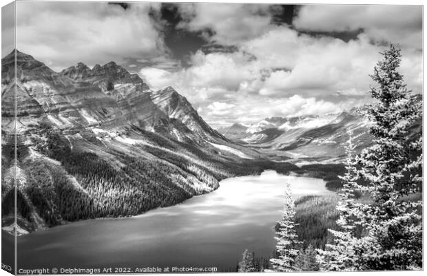 Canada. Peyto lake, Banff National Park Canvas Print by Delphimages Art