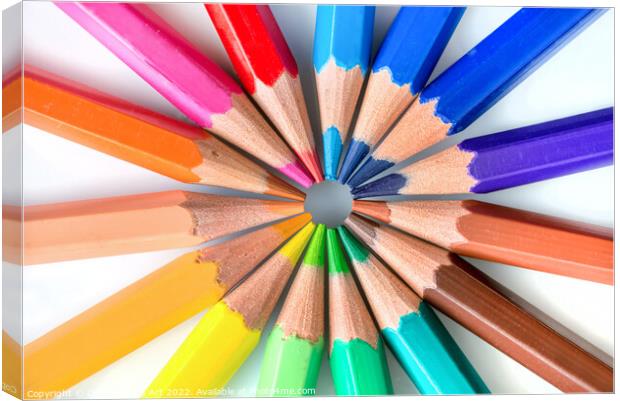 Rainbow coloured pencils Canvas Print by Delphimages Art