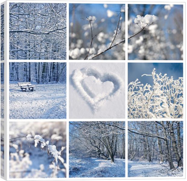 Winter landscapes and snow collage Canvas Print by Delphimages Art