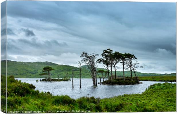 Highlands, Scotland - Lochside view, Loch Assynt Canvas Print by Delphimages Art