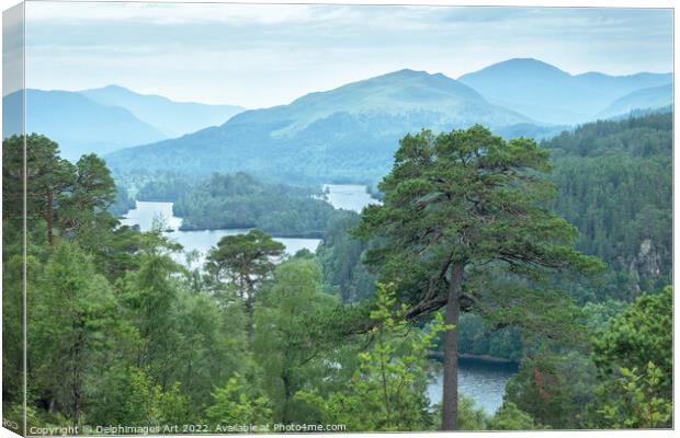 Glen Affric view point panorama on the Highlands Canvas Print by Delphimages Art