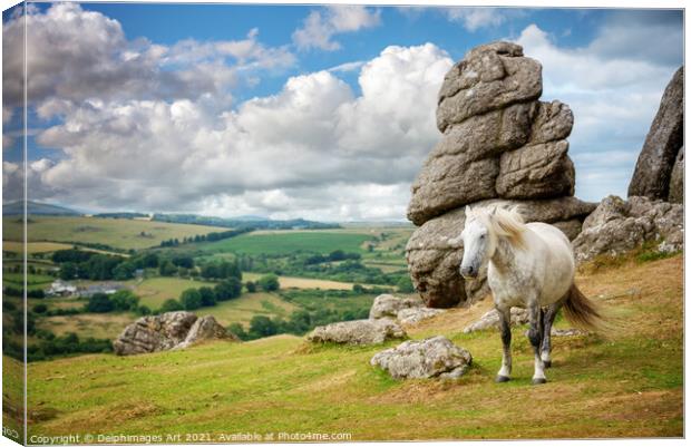 Dartmoor landscape with a white pony, Devon Canvas Print by Delphimages Art