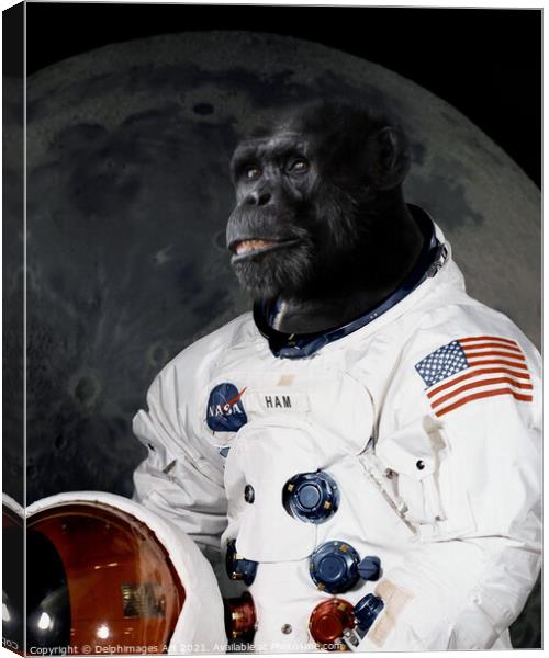 Astronaut chimp portrait Canvas Print by Delphimages Art