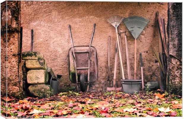 Rustic garden tools against a wall in autumn Canvas Print by Delphimages Art