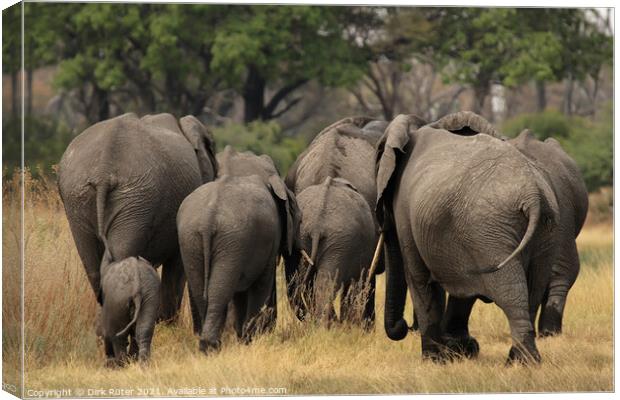 Elephants in the Okavango Delta Canvas Print by Dirk Rüter