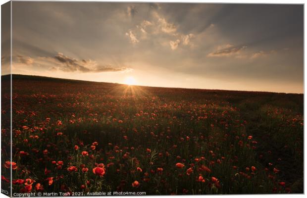 'Red setter' Sunset over Norfolk poppy field Canvas Print by Martin Tosh