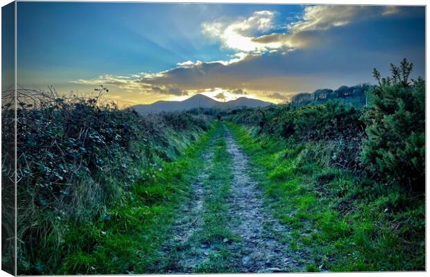 Sunset over the Mourne Mountains Canvas Print by Chris Mc Manus