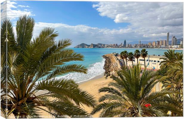 Through the Palm Trees Canvas Print by Chris Mc Manus