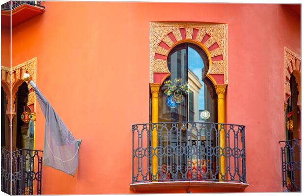 Malaga historic city center and old town streets near Malaga Cat Canvas Print by Elijah Lovkoff