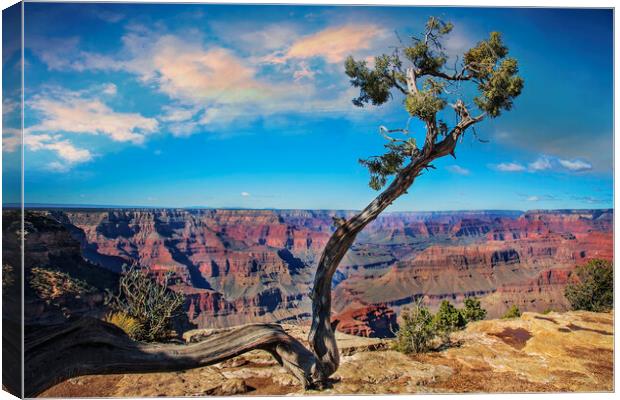 Grand Canyon scenic views and landscapes Canvas Print by Elijah Lovkoff