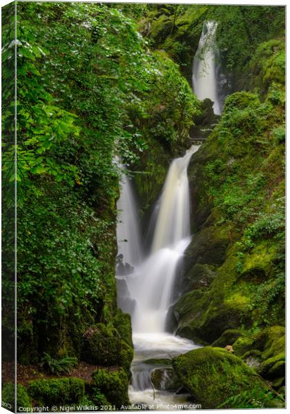 Stock Ghyll Force Canvas Print by Nigel Wilkins