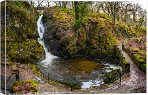 Aira Force Canvas Print by Nigel Wilkins