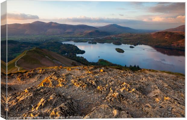 A View From Cat Bells Canvas Print by Nigel Wilkins