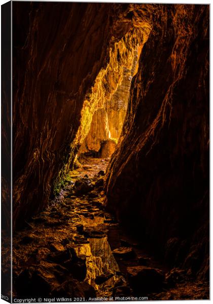 Light at the end of the tunnel Canvas Print by Nigel Wilkins