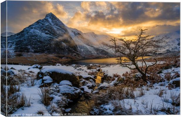 Ogwen Valley, Snowdonia Canvas Print by Nigel Wilkins